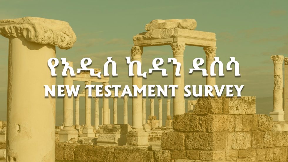 New Testament Survey